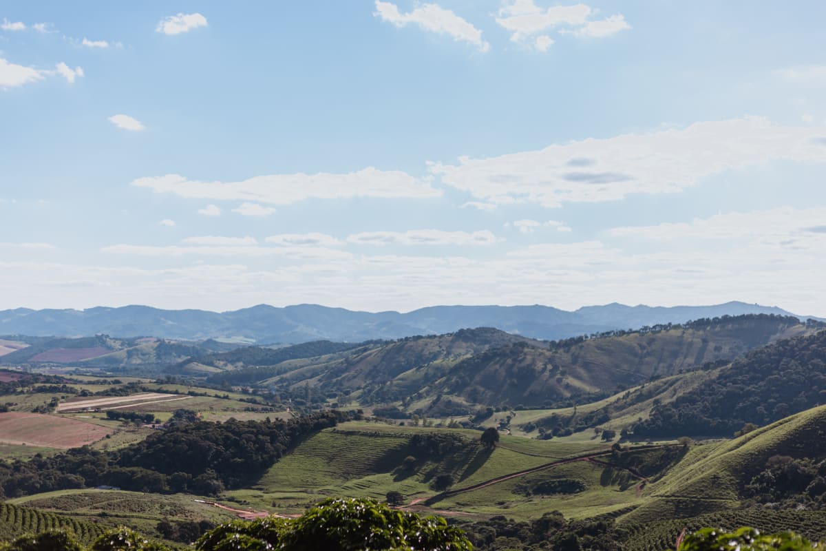 Brazil Natural // Cerrado Mineiro DO